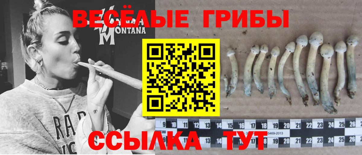 Галлюциногенные грибы мицелий Усть-Илимск