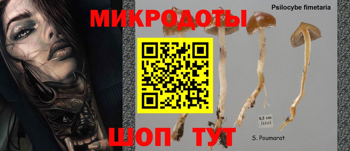Псилоцибиновые грибы Magic Shrooms  Галлюциногенные грибы MAGIC MUSHROOMS  Усть-Илимск  Вход с VPN 